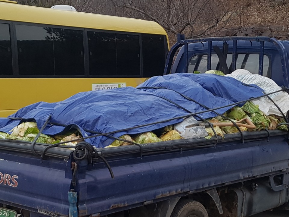 2019.01.15 ������ȸ�� �����Ŀ���