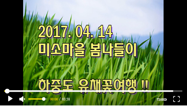 2017. 04. 14 �̼Ҹ��� ��������(���ߵ�)